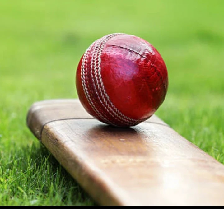 Cricket